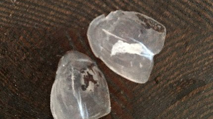 からすみに似ている!?ボラの鱗