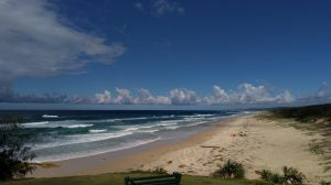 オーストラリアに行ってきました③―きれいな水と環境が良いからすみを育てる