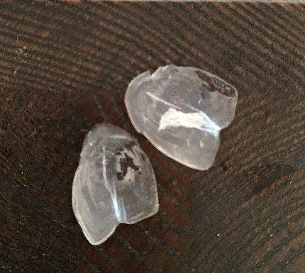 からすみに似ている!?ボラの鱗