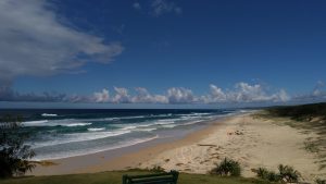 オーストラリアに行ってきました③―きれいな水と環境が良いからすみを育てる