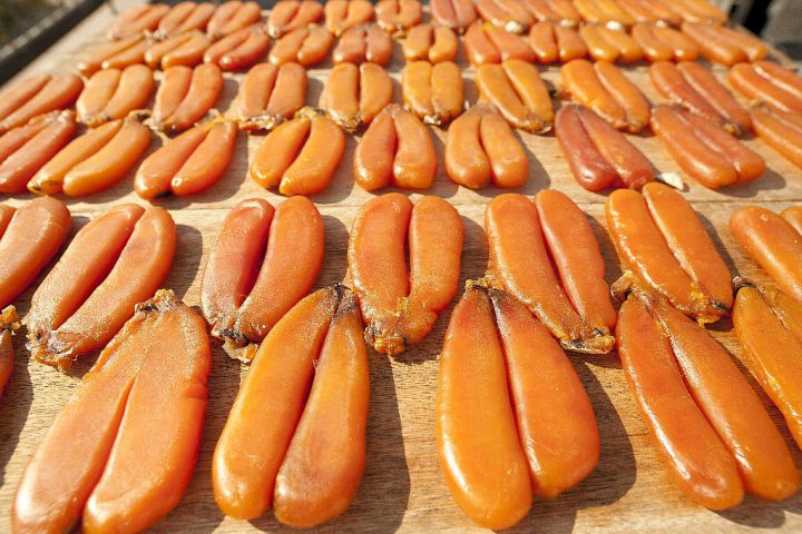 からすみの旬とは!?