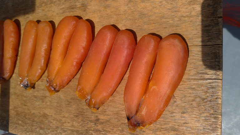 からすみ作りに最適な季節とは？天日干しでからすみはもっと美味しくなる！