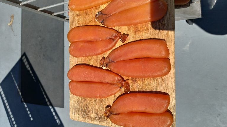 からすみのシーズン到来！